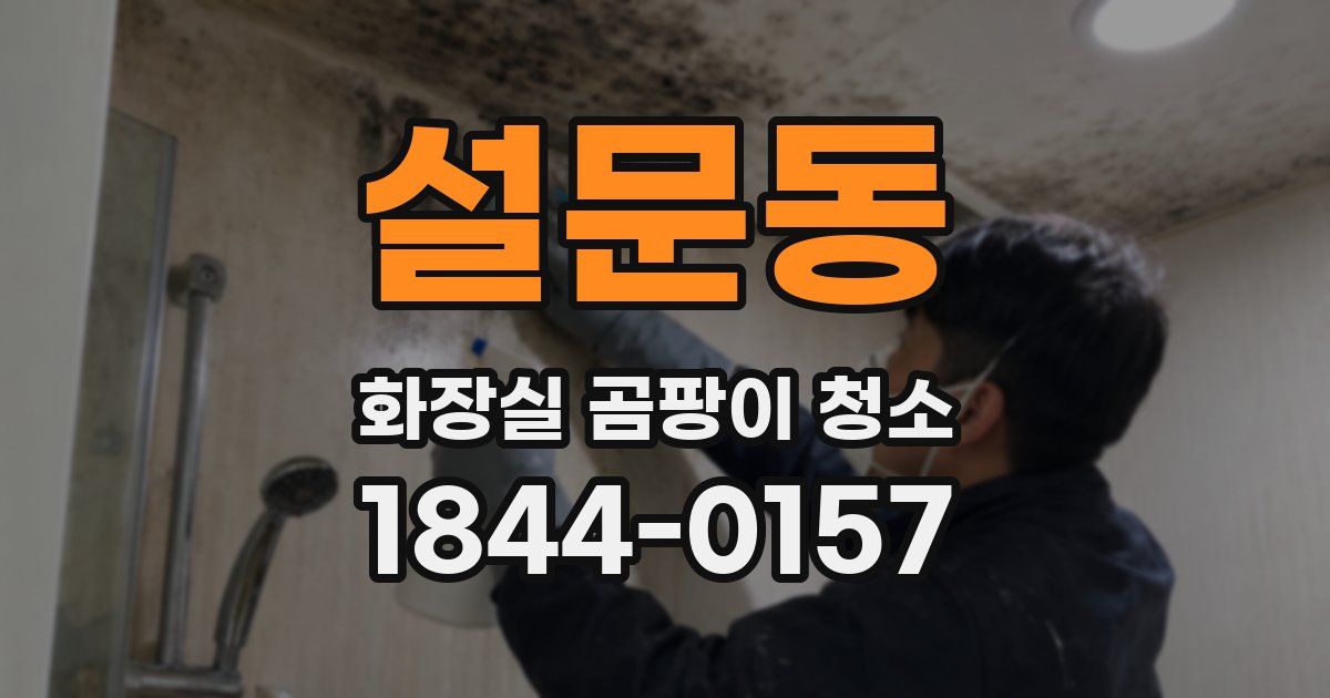 설문동 화장실 곰팡이 청소