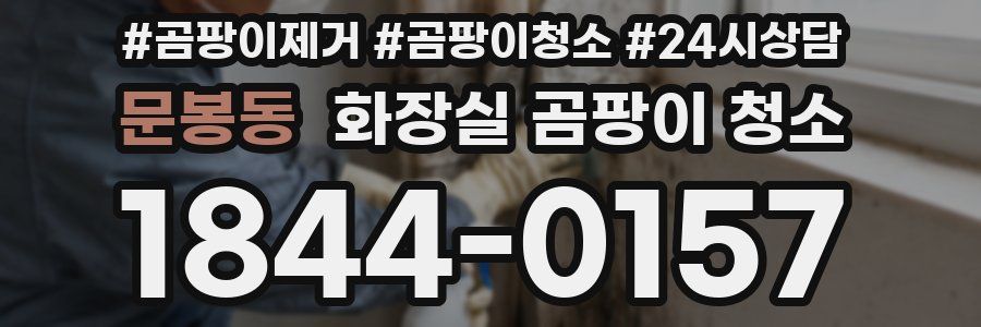 문봉동 화장실 곰팡이 청소