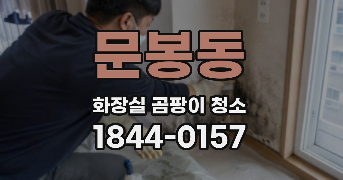 문봉동 화장실 곰팡이 청소