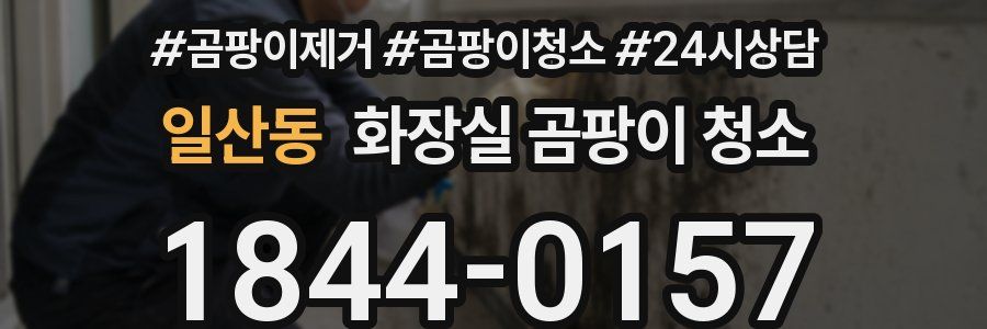 일산동 화장실 곰팡이 청소