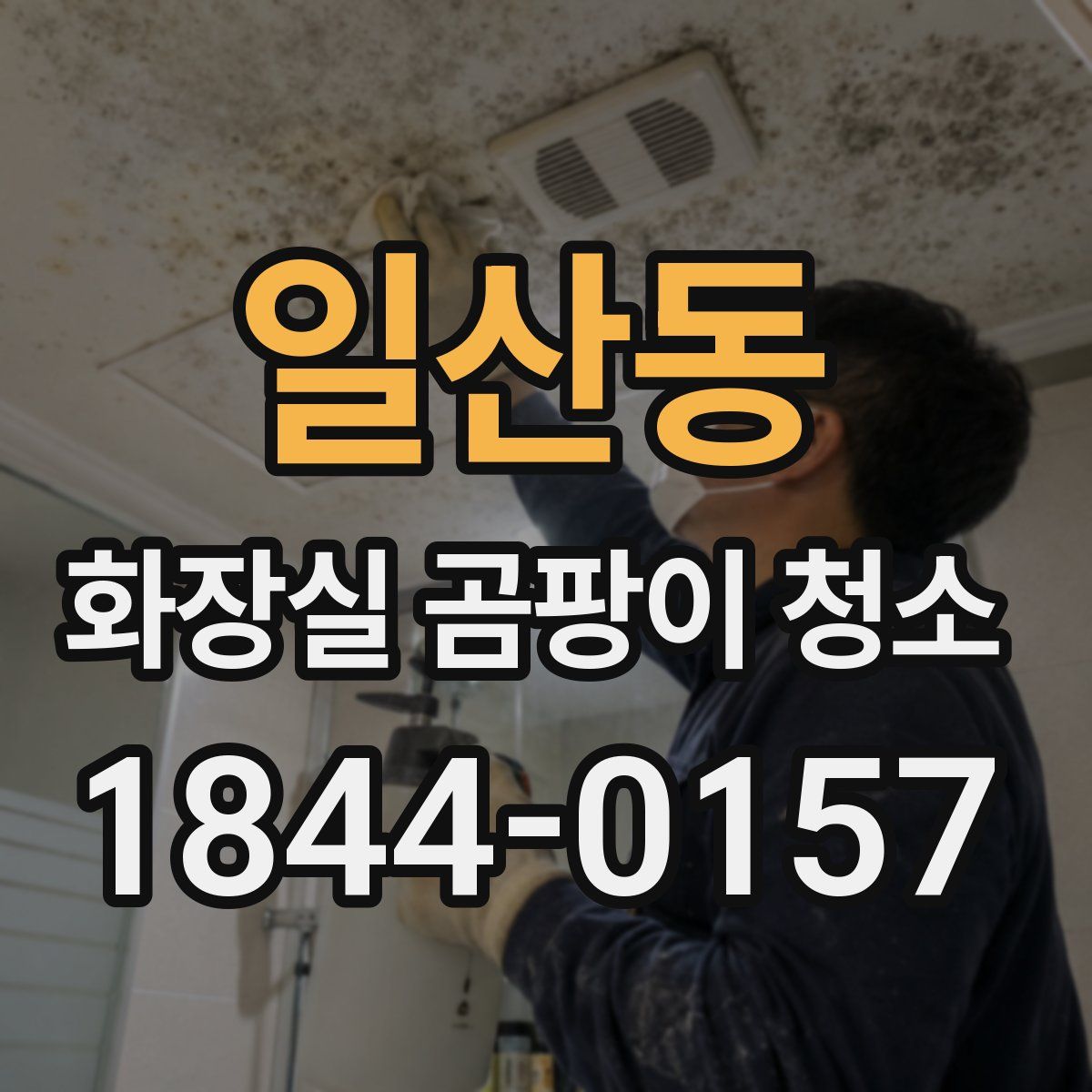 일산동 화장실 곰팡이 청소