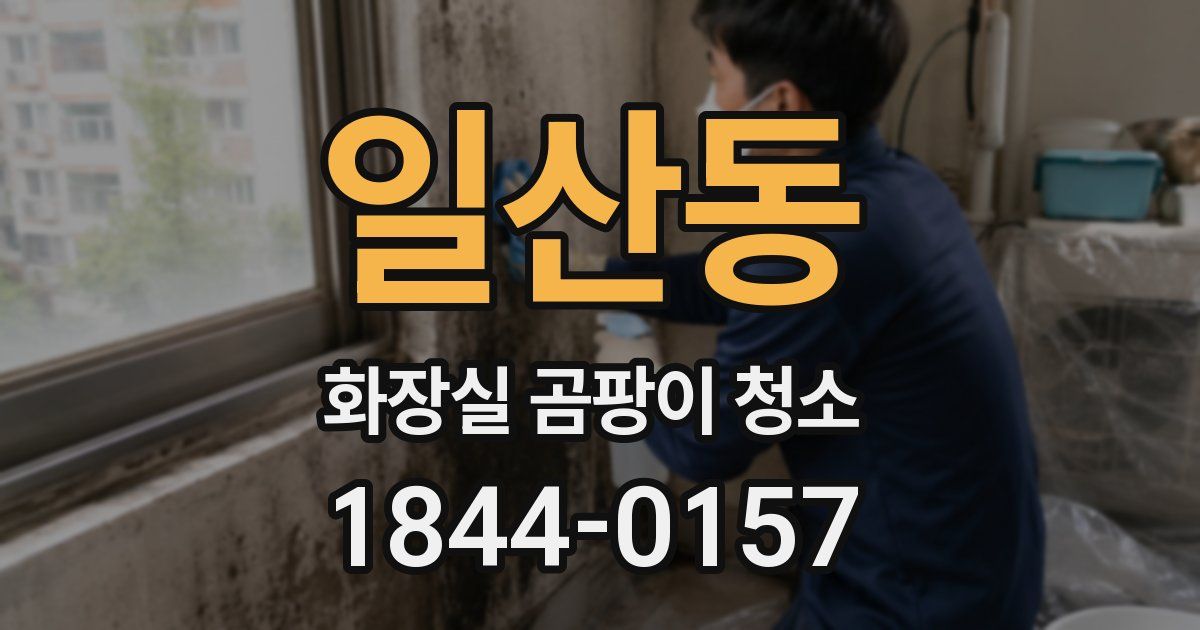 일산동 화장실 곰팡이 청소