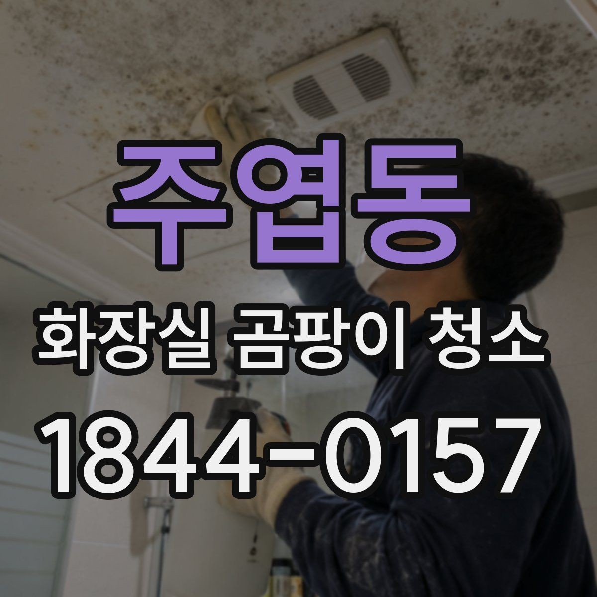 주엽동 화장실 곰팡이 청소 거주 중에도 불편을 줄이는 작업 순서