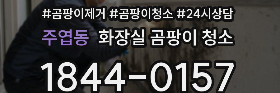 주엽동 화장실 곰팡이 청소