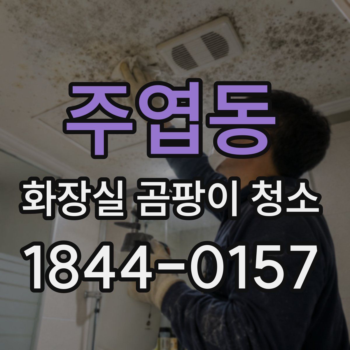 주엽동 화장실 곰팡이 청소