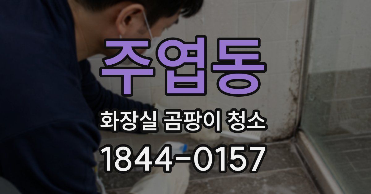 주엽동 화장실 곰팡이 청소