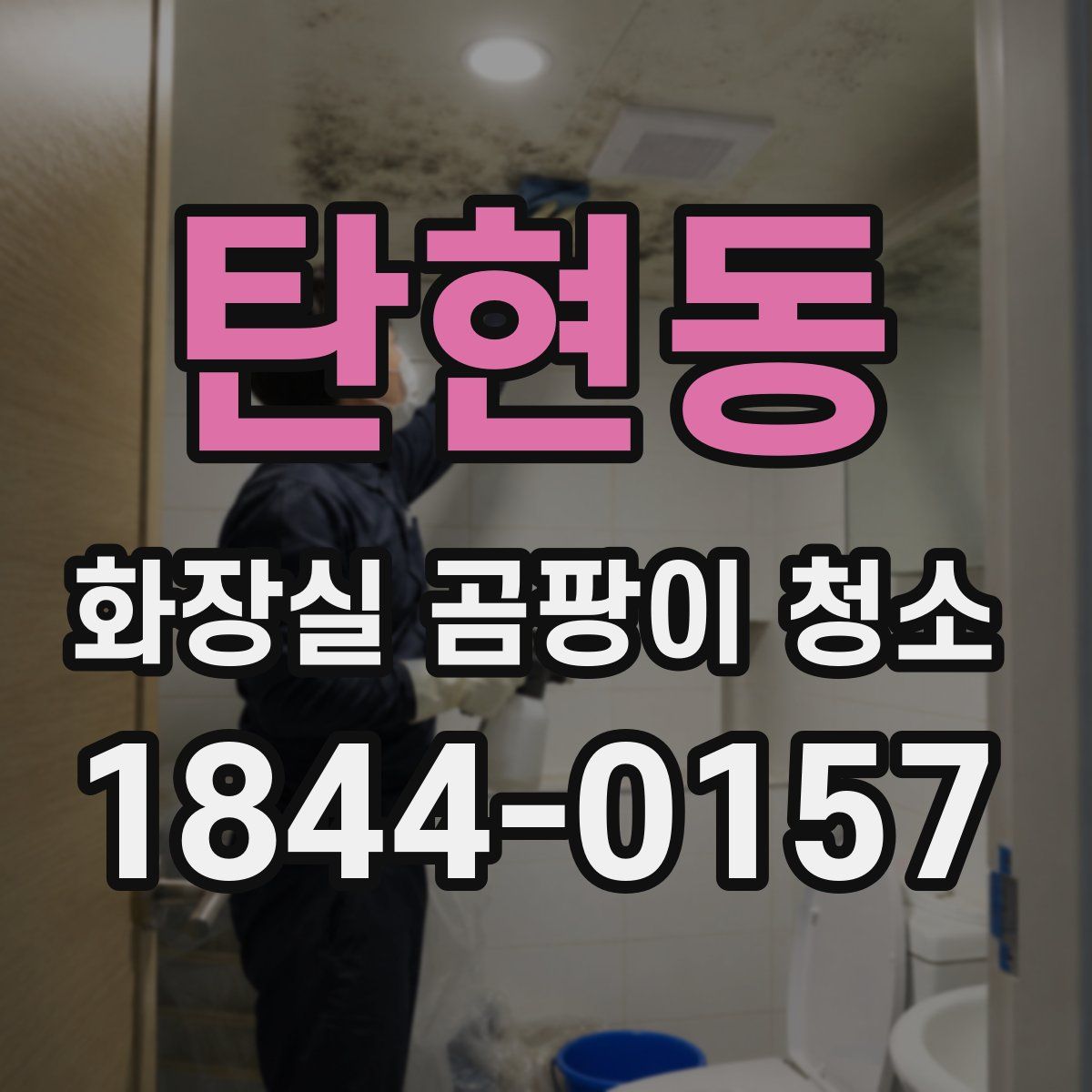 탄현동 화장실 곰팡이 청소