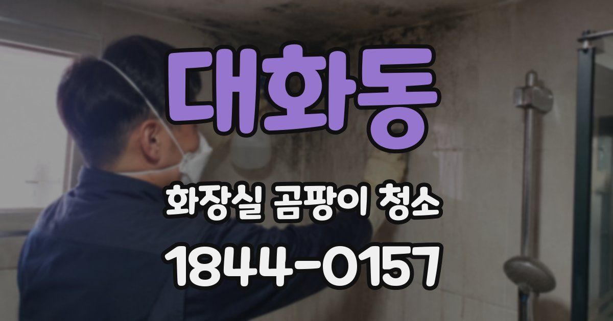 대화동 화장실 곰팡이 청소