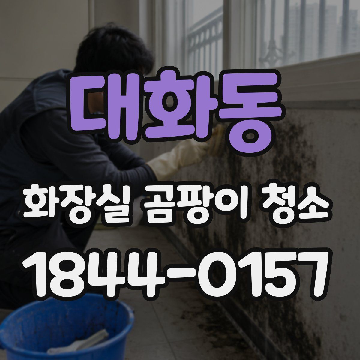 대화동 화장실 곰팡이 청소