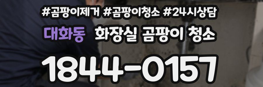 대화동 화장실 곰팡이 청소