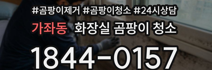 가좌동 화장실 곰팡이 청소