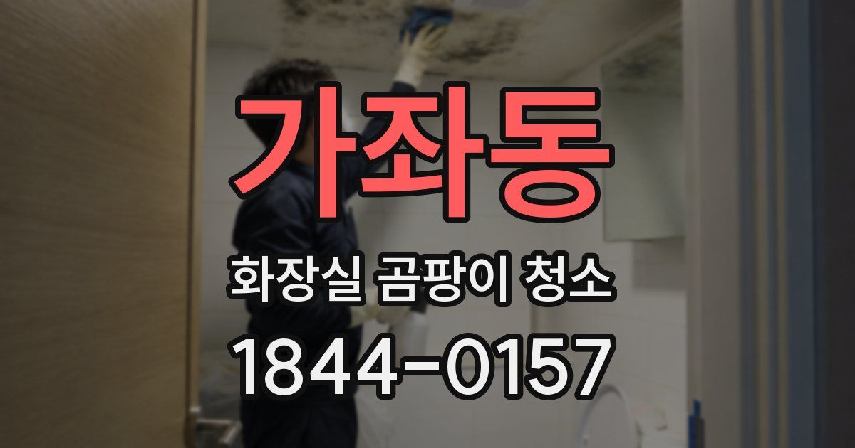가좌동 화장실 곰팡이 청소