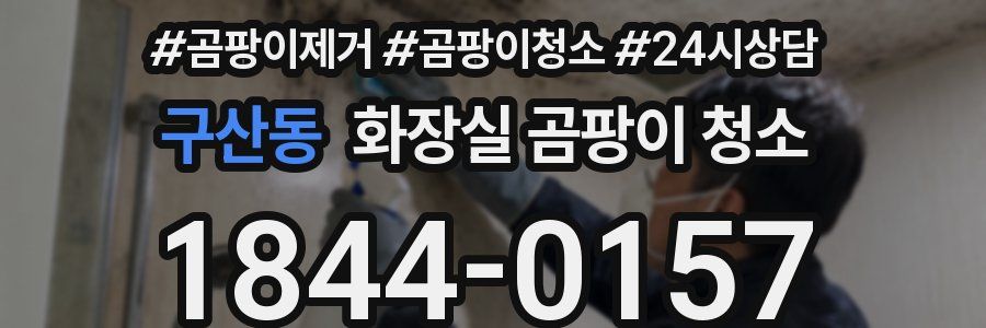 구산동 화장실 곰팡이 청소