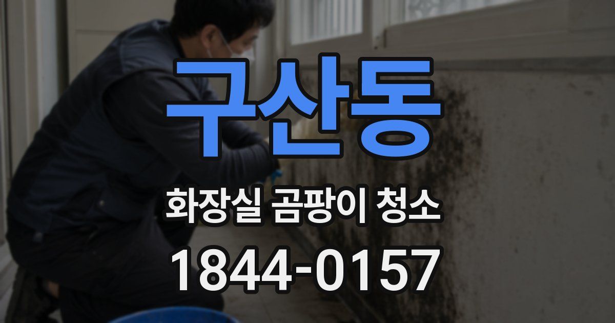 구산동 화장실 곰팡이 청소