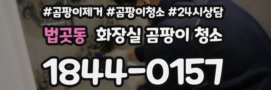 법곳동 화장실 곰팡이 청소