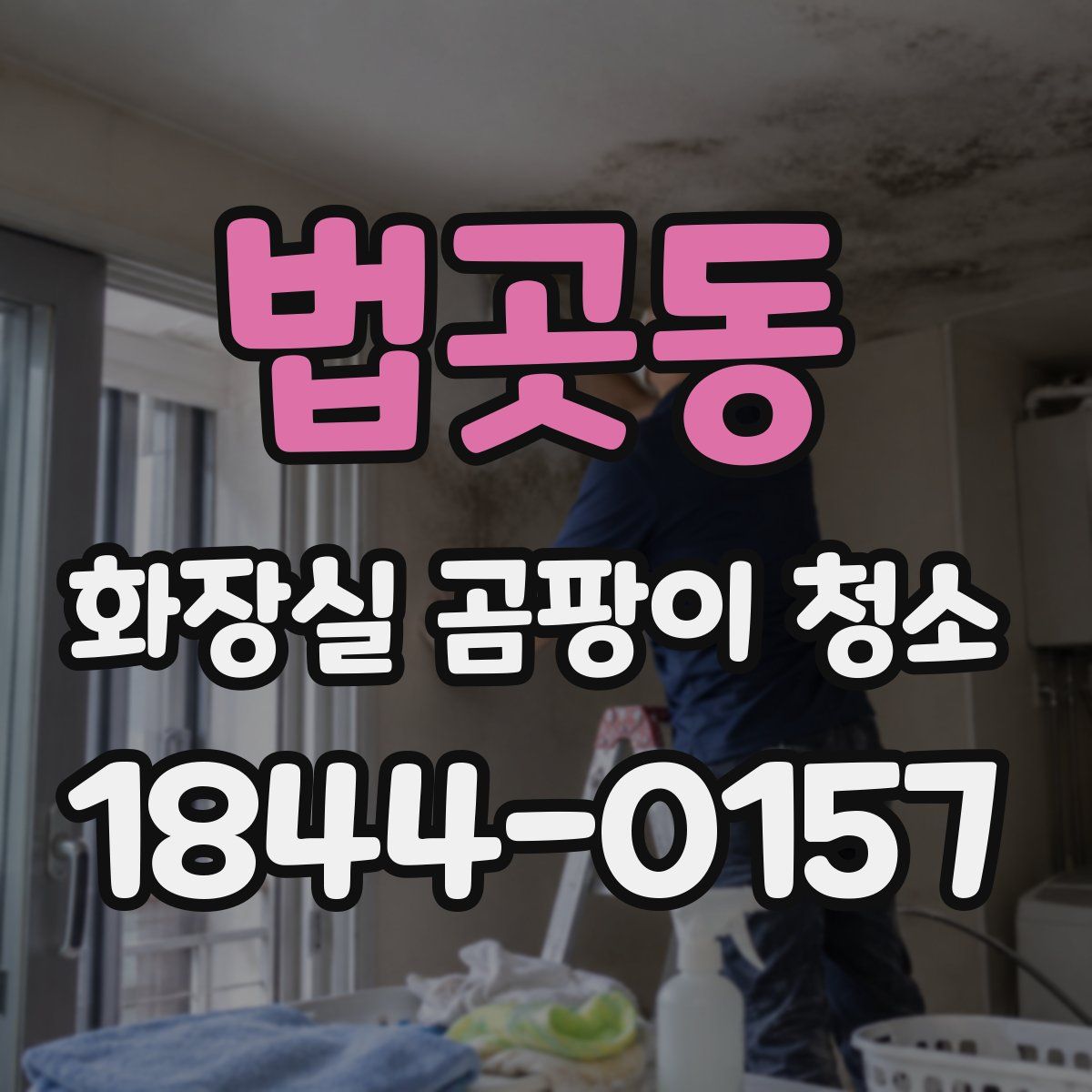 법곳동 화장실 곰팡이 청소