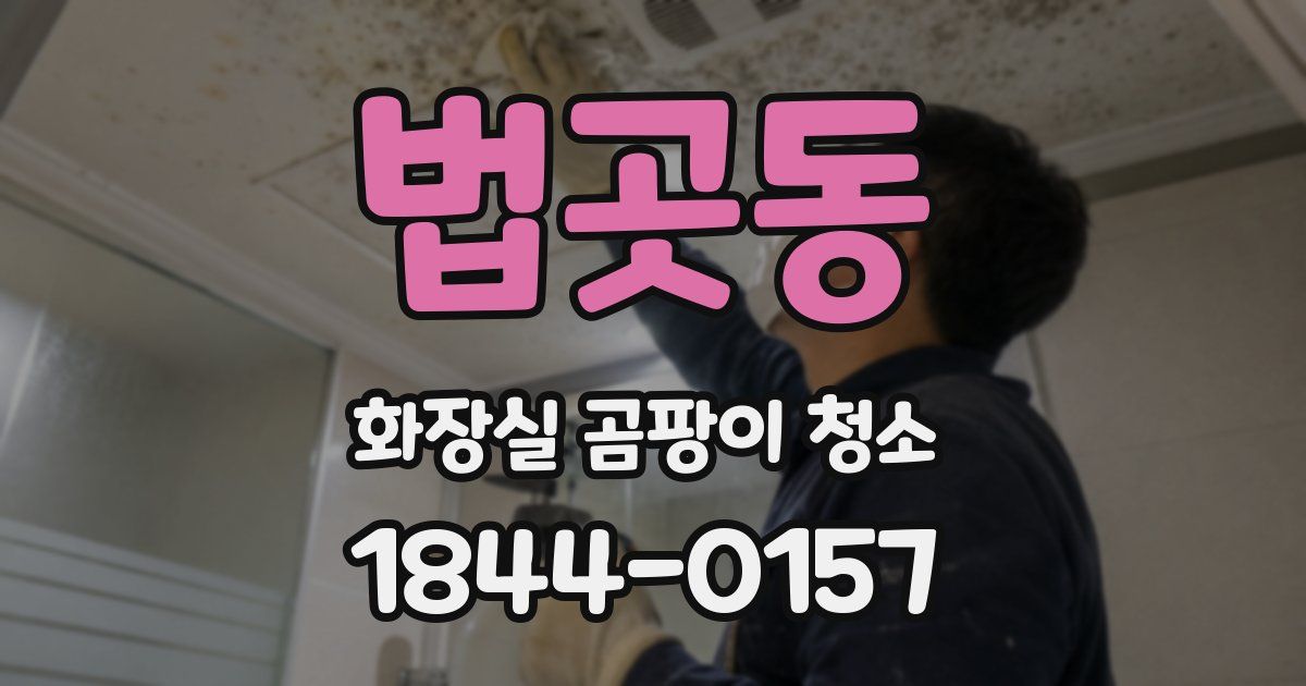 법곳동 화장실 곰팡이 청소