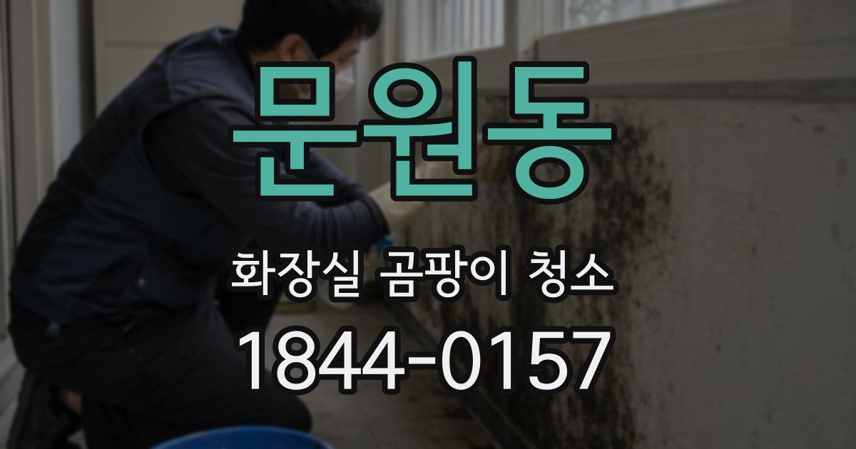 문원동 화장실 곰팡이 청소