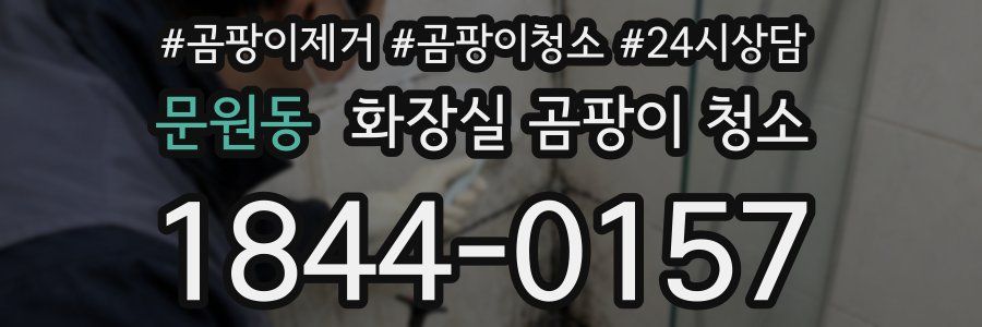 문원동 화장실 곰팡이 청소