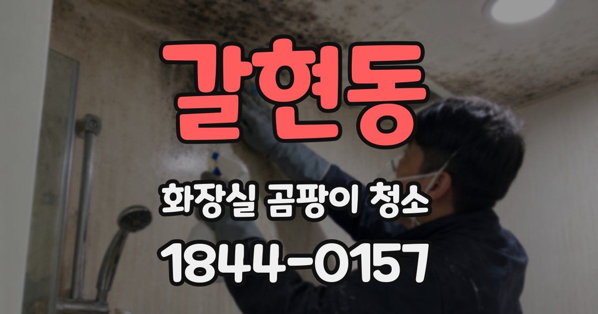갈현동 화장실 곰팡이 청소