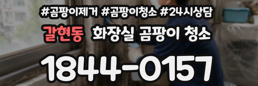 갈현동 화장실 곰팡이 청소