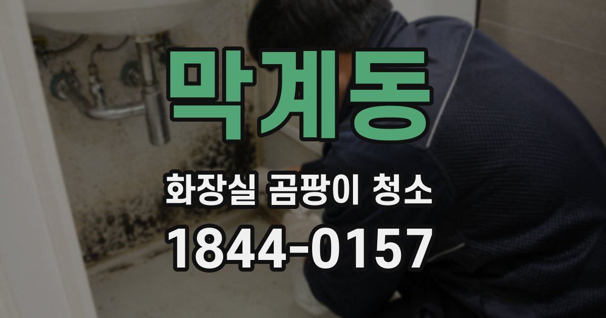 막계동 화장실 곰팡이 청소