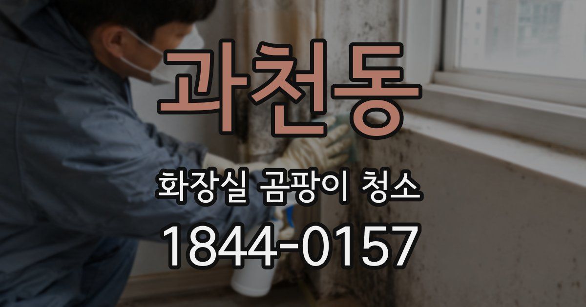 과천동 화장실 곰팡이 청소