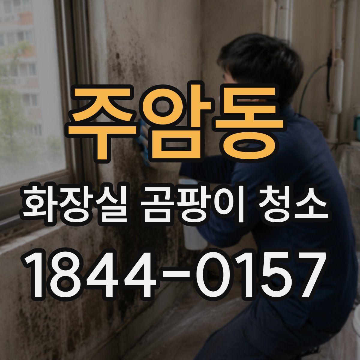 주암동 화장실 곰팡이 청소
