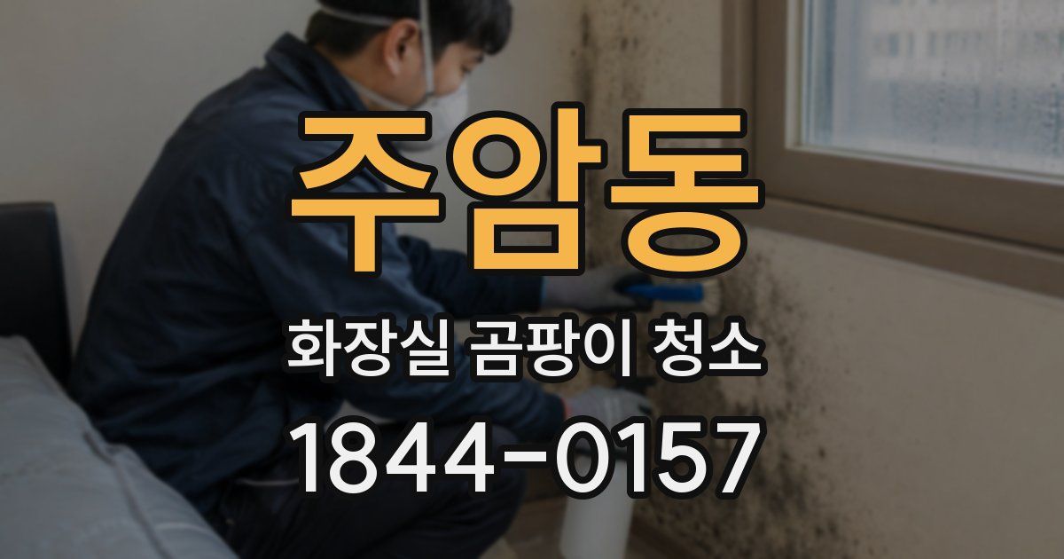 주암동 화장실 곰팡이 청소