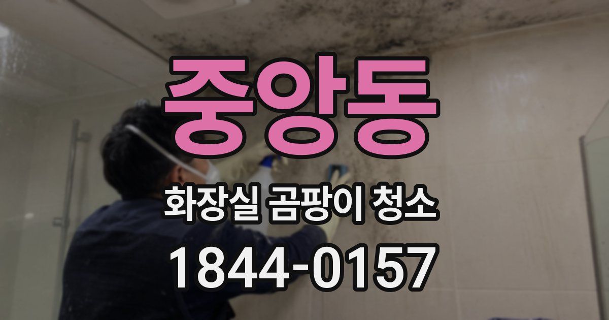 중앙동 화장실 곰팡이 청소