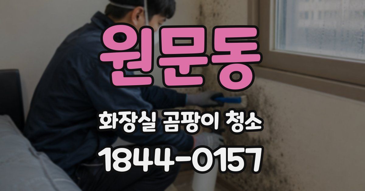 원문동 화장실 곰팡이 청소