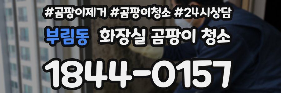 부림동 화장실 곰팡이 청소