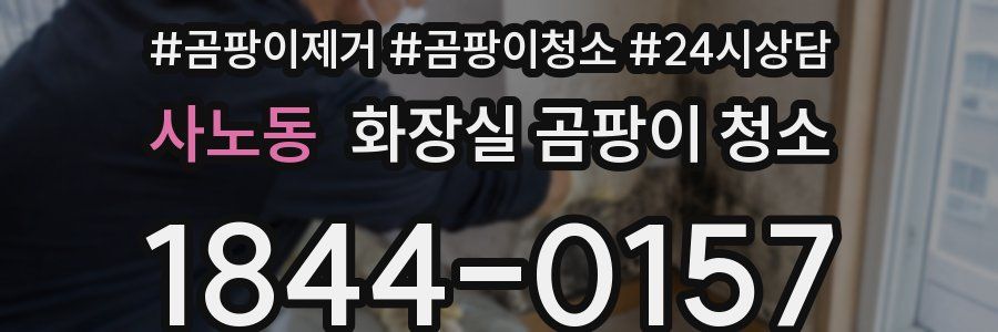사노동 화장실 곰팡이 청소