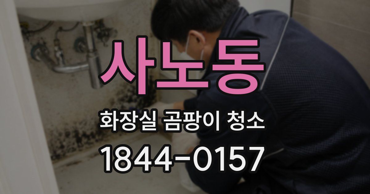 사노동 화장실 곰팡이 청소