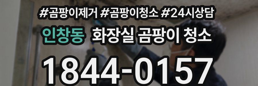 인창동 화장실 곰팡이 청소