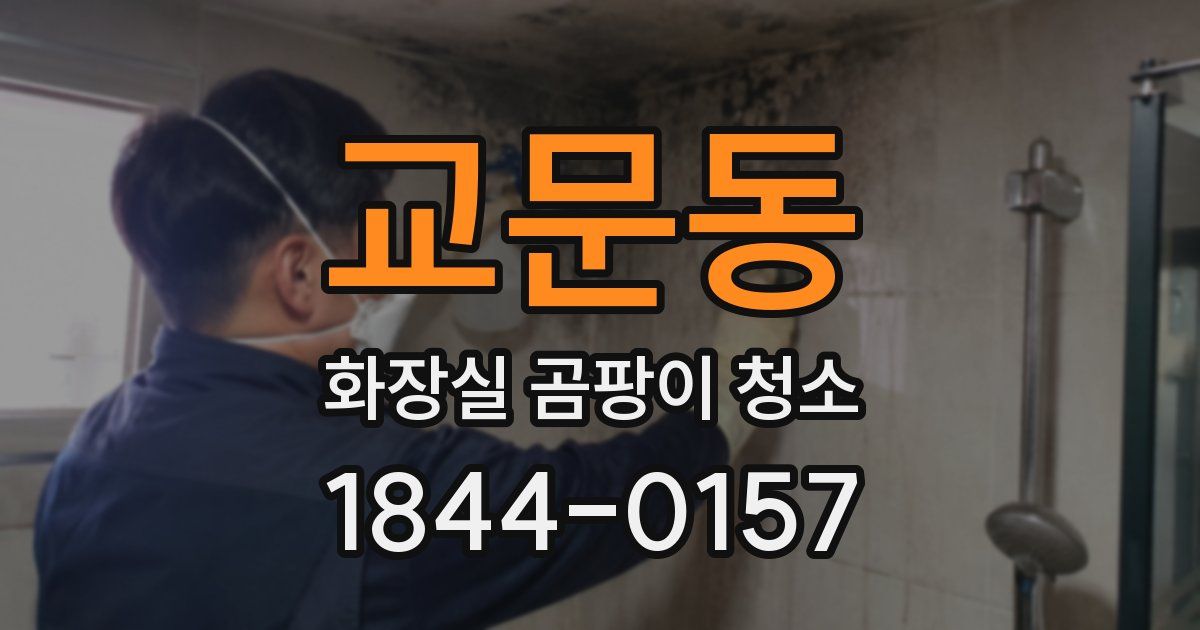교문동 화장실 곰팡이 청소