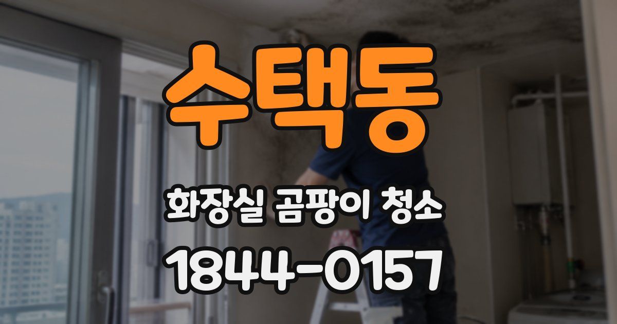 수택동 화장실 곰팡이 청소