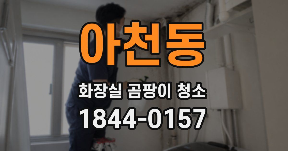 아천동 화장실 곰팡이 청소