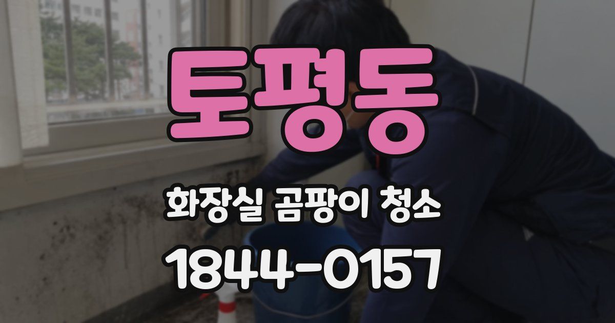 토평동 화장실 곰팡이 청소