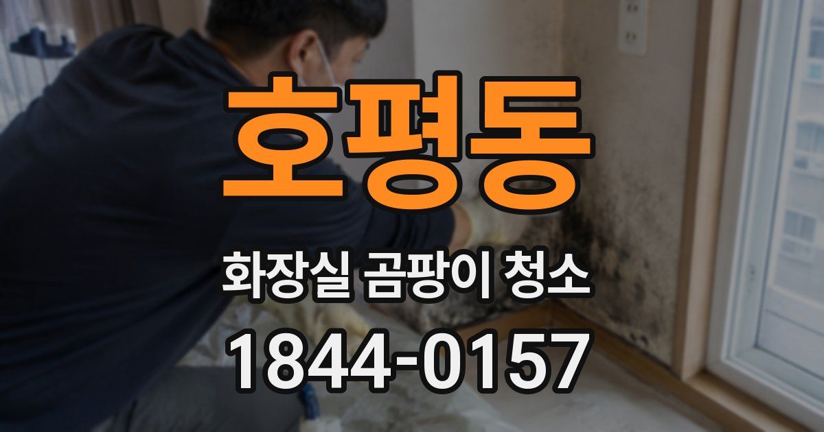 호평동 화장실 곰팡이 청소