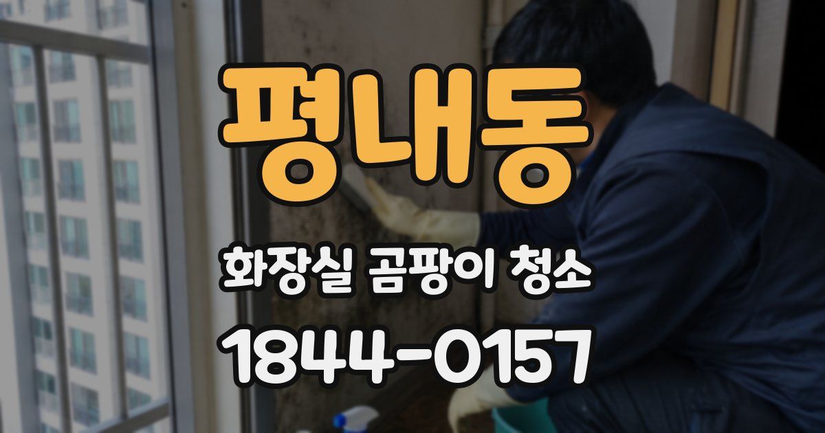 평내동 화장실 곰팡이 청소