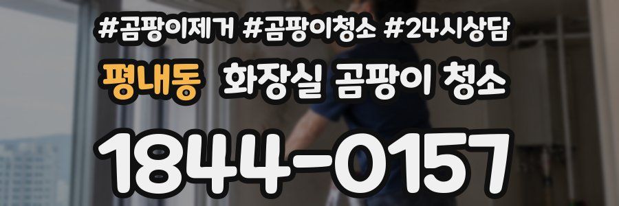 평내동 화장실 곰팡이 청소