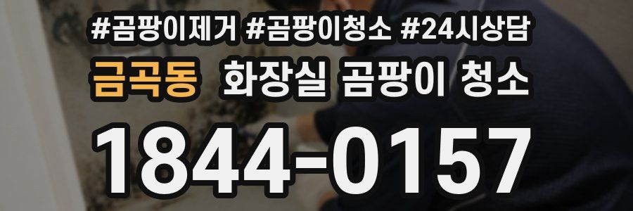 금곡동 화장실 곰팡이 청소
