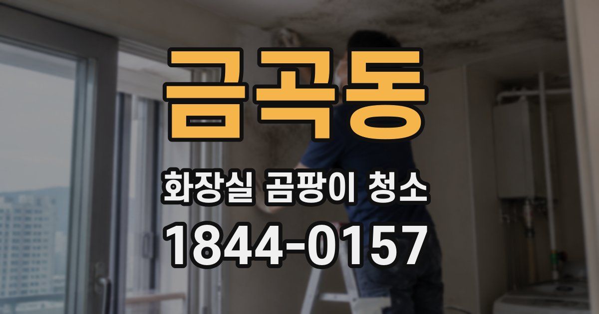 금곡동 화장실 곰팡이 청소
