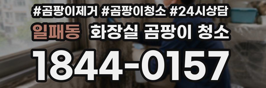 일패동 화장실 곰팡이 청소