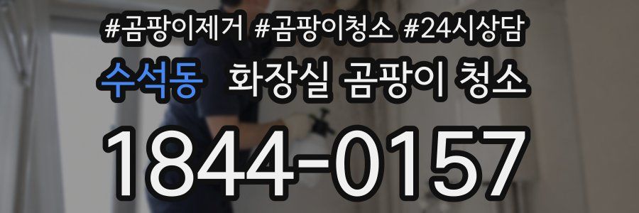 수석동 화장실 곰팡이 청소