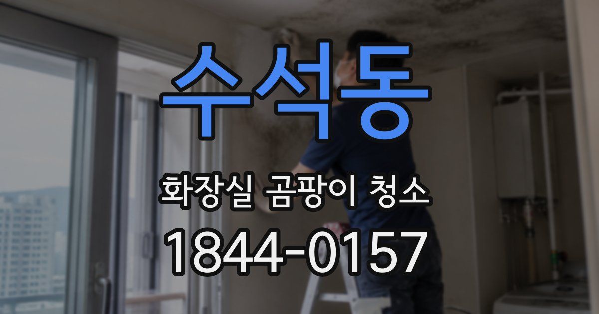 수석동 화장실 곰팡이 청소
