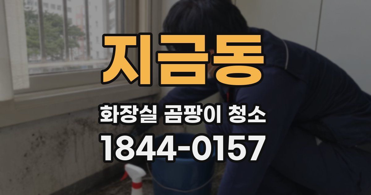 지금동 화장실 곰팡이 청소