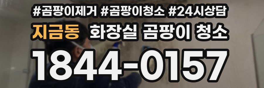 지금동 화장실 곰팡이 청소