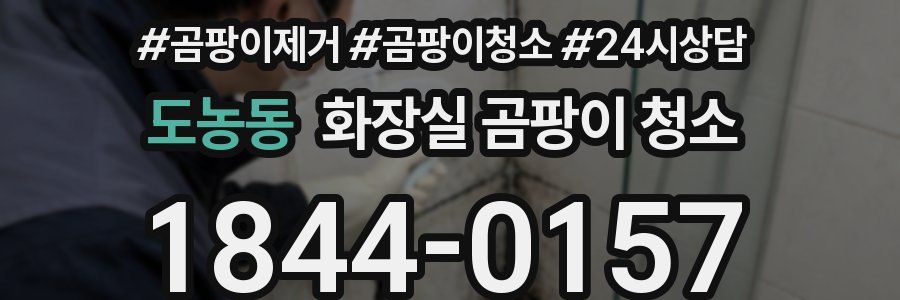 도농동 화장실 곰팡이 청소